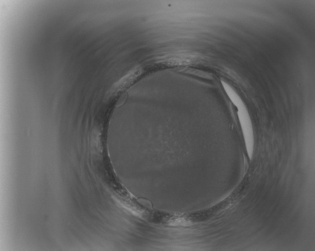 X0000080150258200612221956