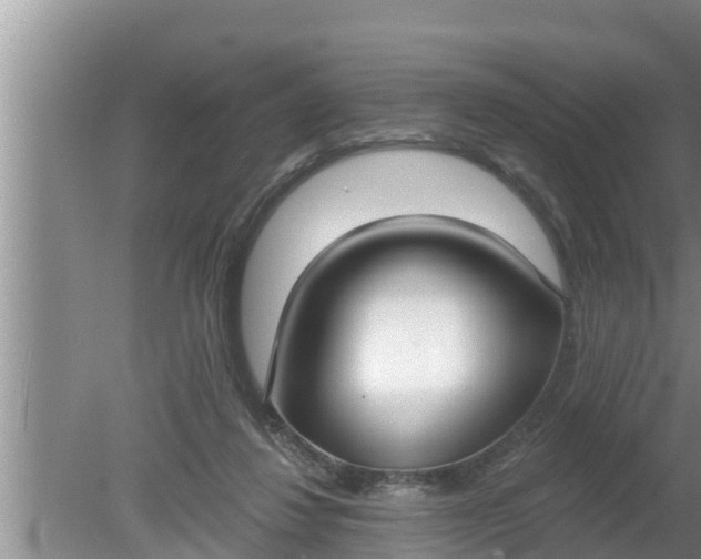 X0000080150260200612221956