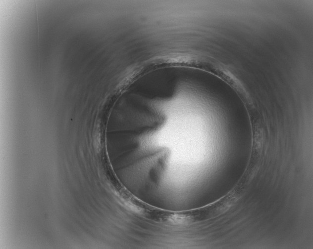 X0000080150261200612221956