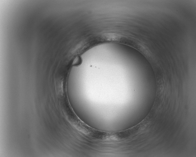 X0000080150262200612221956