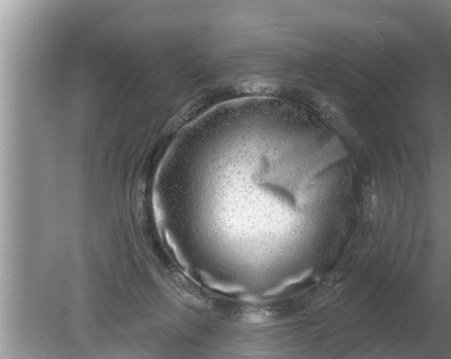 X0000080150263200612221956