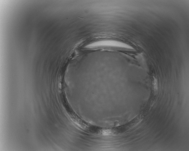 X0000080150264200612221956