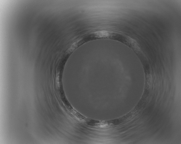 X0000080150267200612221957