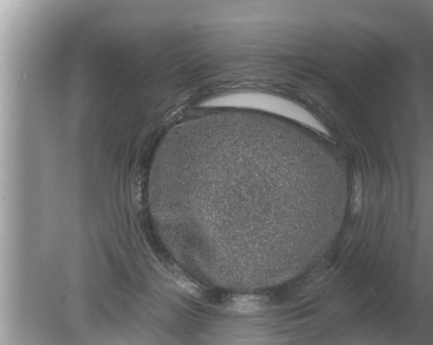 X0000080150268200612221957