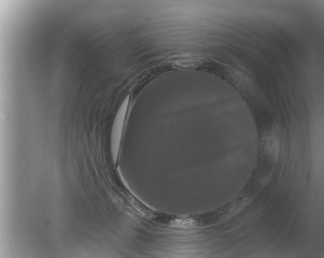 X0000080150271200612221957