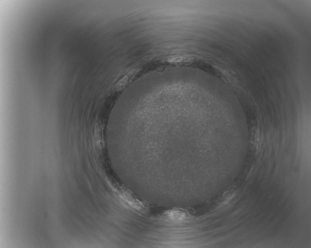 X0000080150272200612221957