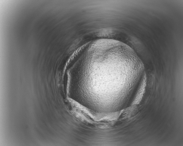 X0000080150273200612221957