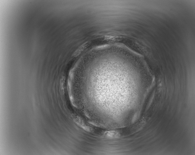 X0000080150275200612221957