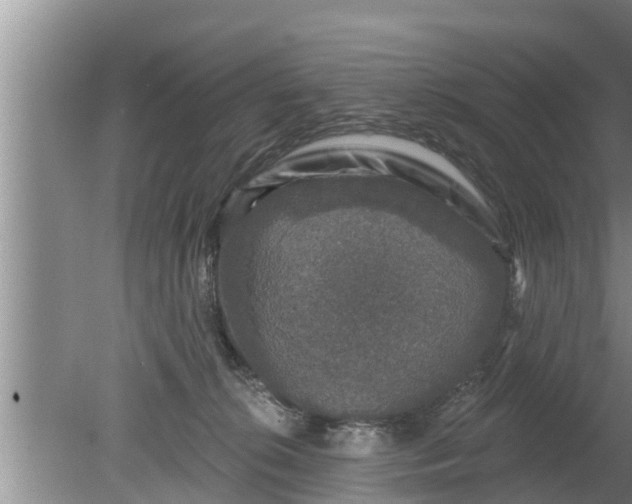 X0000080150276200612221957