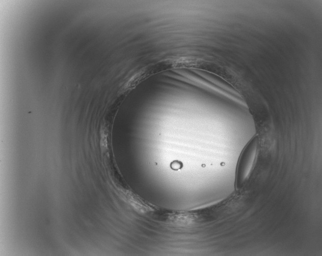 X0000080150282200612221957