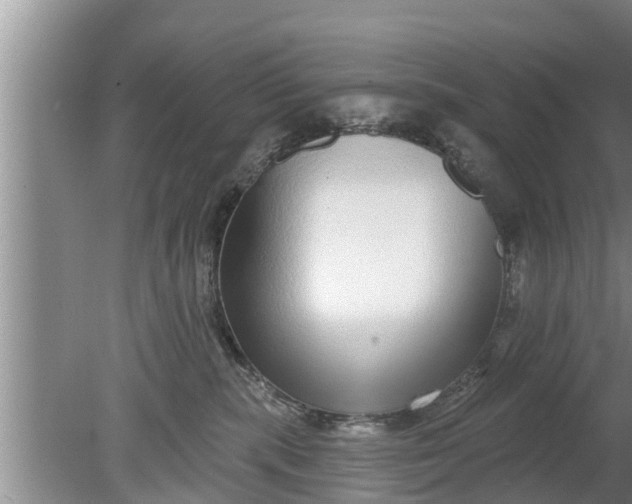 X0000080150283200612221957