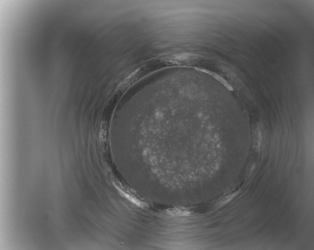 X0000080150284200612221957