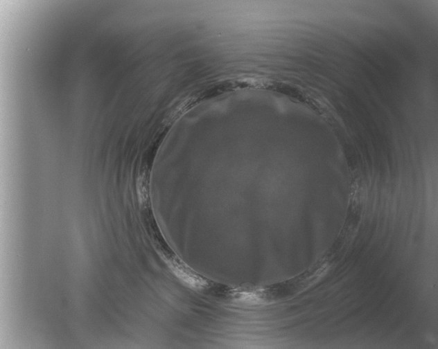 X0000080150285200612221957