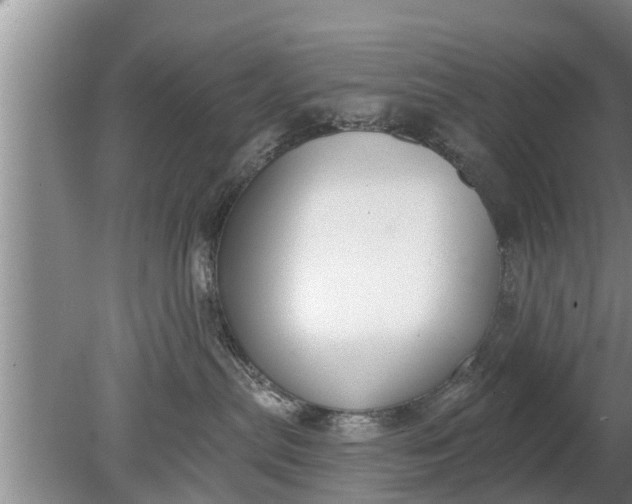 X0000080150287200612221957