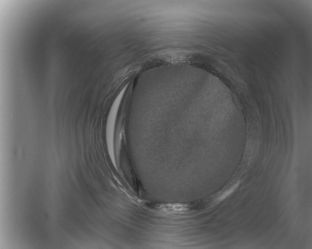 X0000080150288200612221957