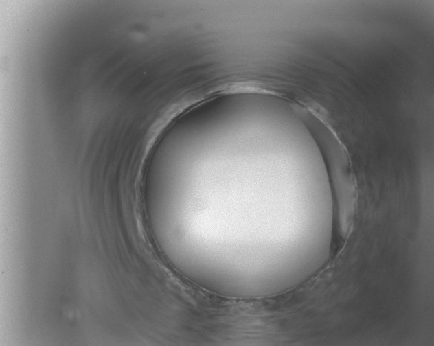 X0000080150289200612221956