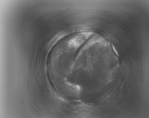 X0000080150290200612221956