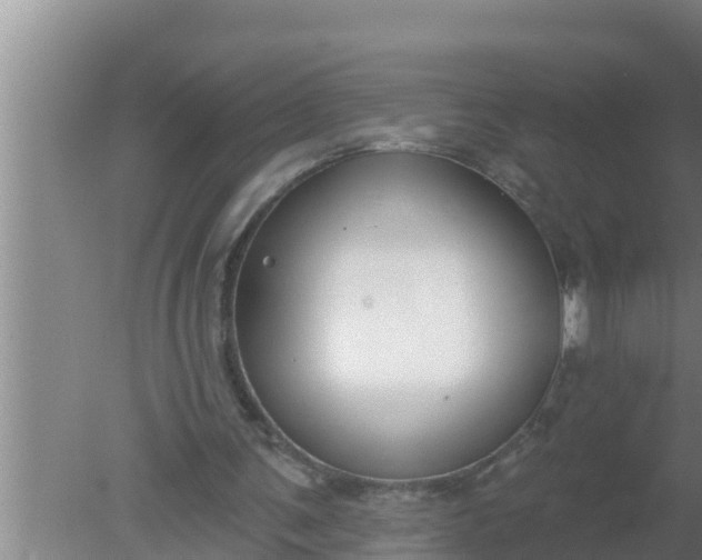 X0000080150291200612221956