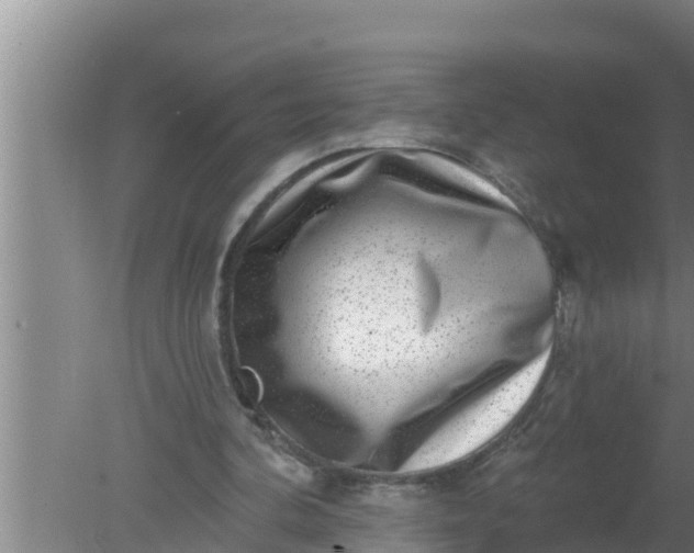 X0000080150292200612221956