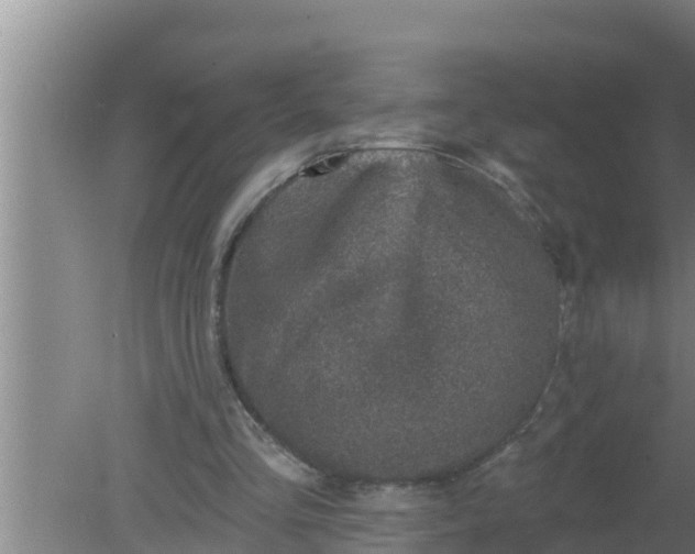 X0000080150293200612221956