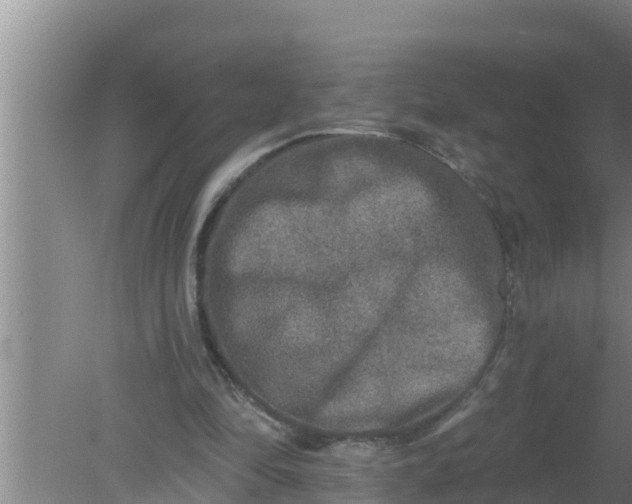 X0000080150294200612221956