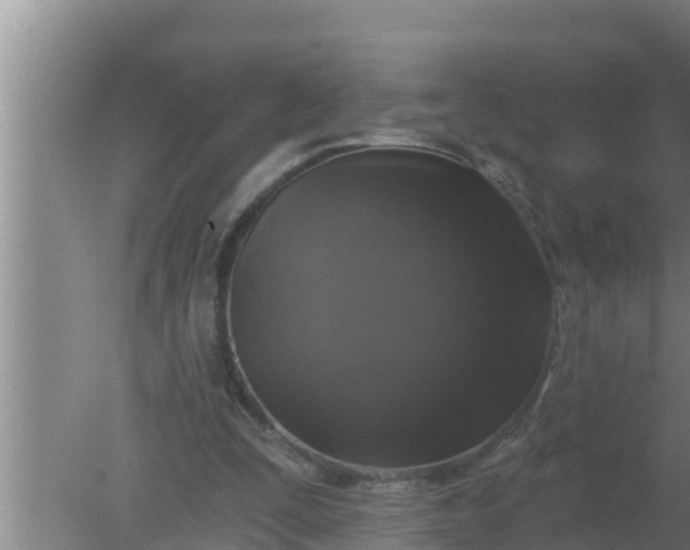 X0000080150295200612221956