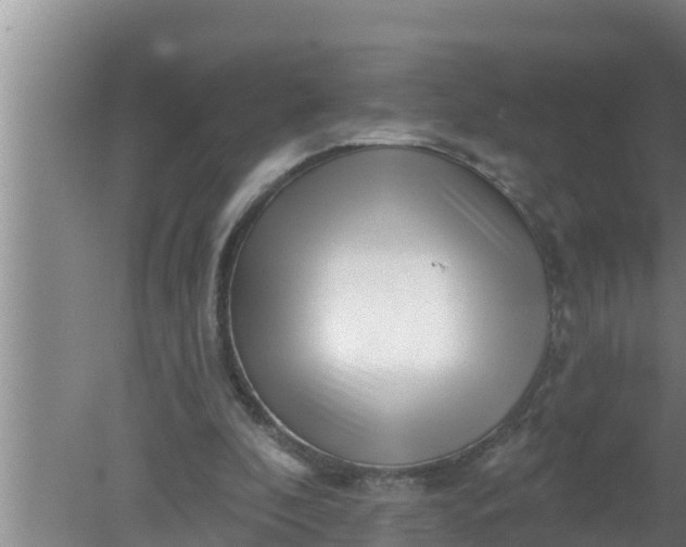 X0000080150296200612221956