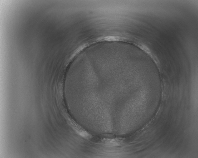 X0000080150297200612221956