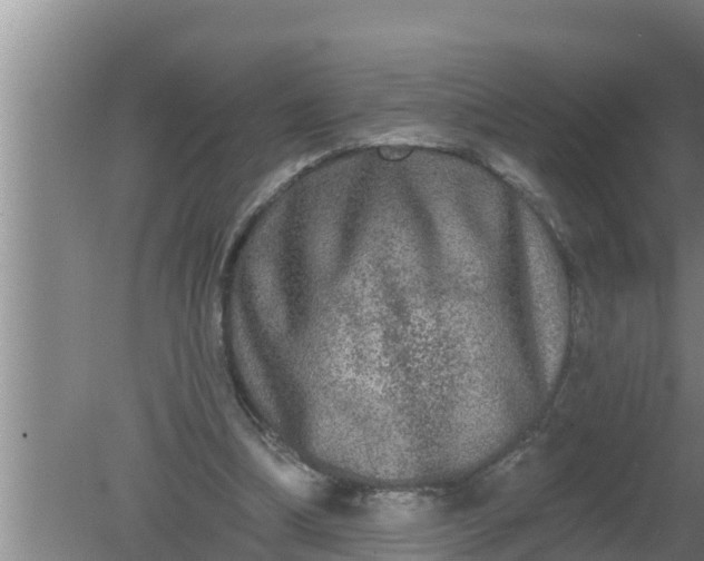 X0000080150298200612221956