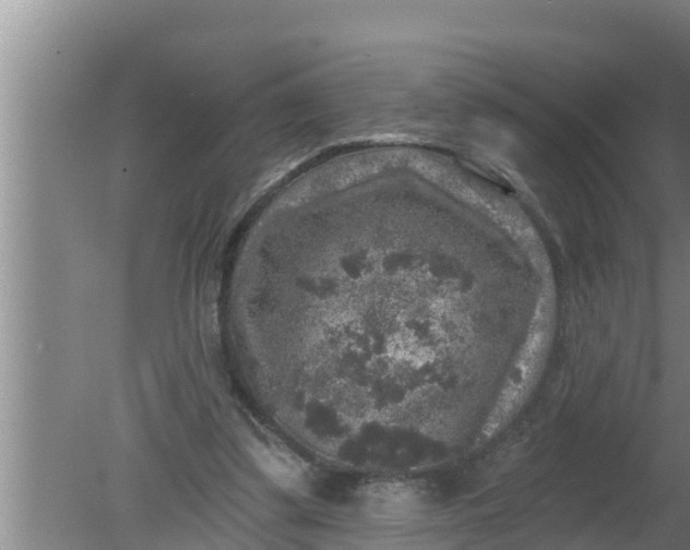 X0000080150299200612221956