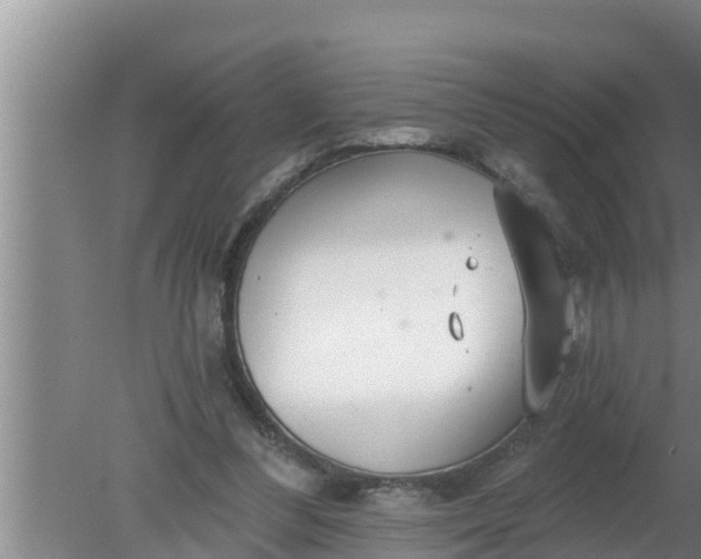 X0000080150300200612221956