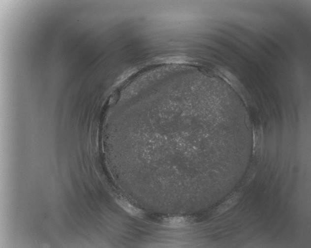 X0000080150301200612221956