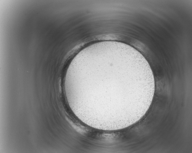 X0000080150302200612221956