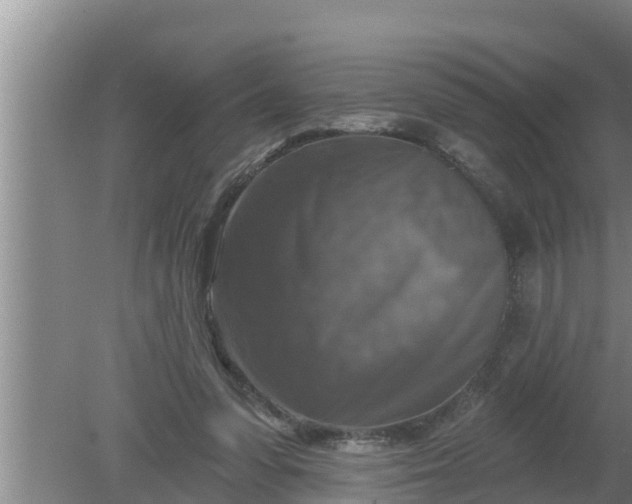 X0000080150303200612221956