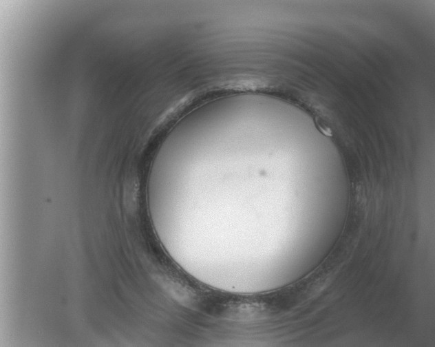 X0000080150304200612221956