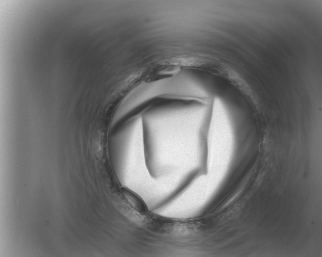 X0000080150305200612221956