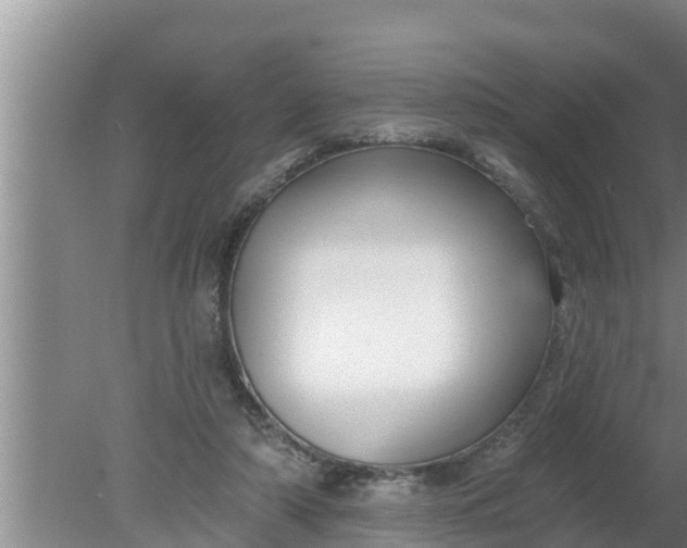 X0000080150306200612221956