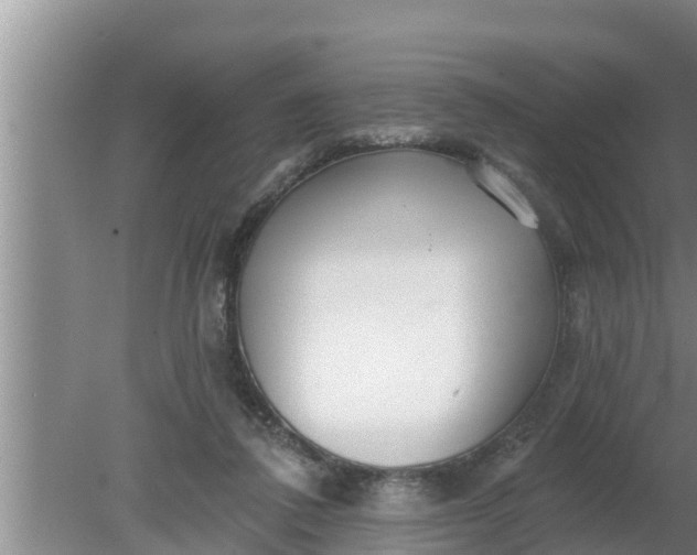 X0000080150308200612221956