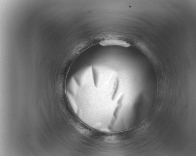 X0000080150309200612221956