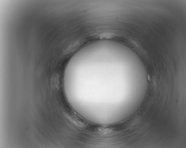 X0000080150311200612221956