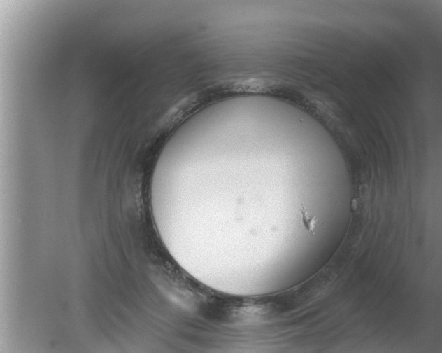 X0000080150312200612221956