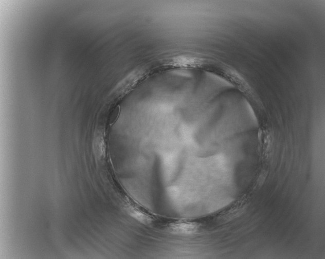 X0000080150313200612221956