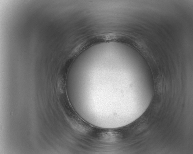 X0000080150316200612221956