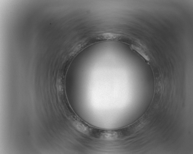 X0000080150317200612221956