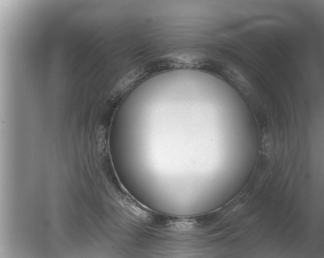 X0000080150318200612221956