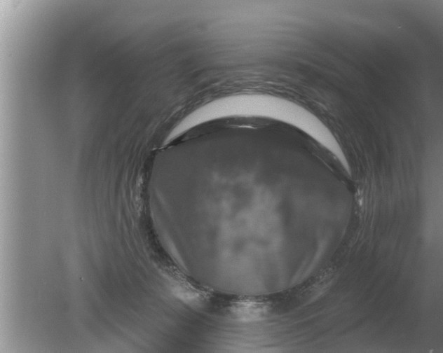 X0000080150319200612221956