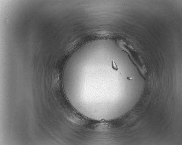 X0000080150320200612221956