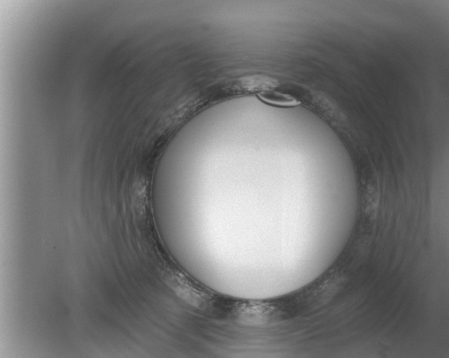 X0000080150321200612221956