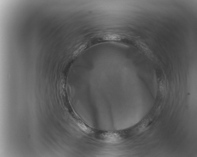 X0000080150322200612221956