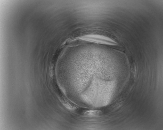 X0000080150323200612221955